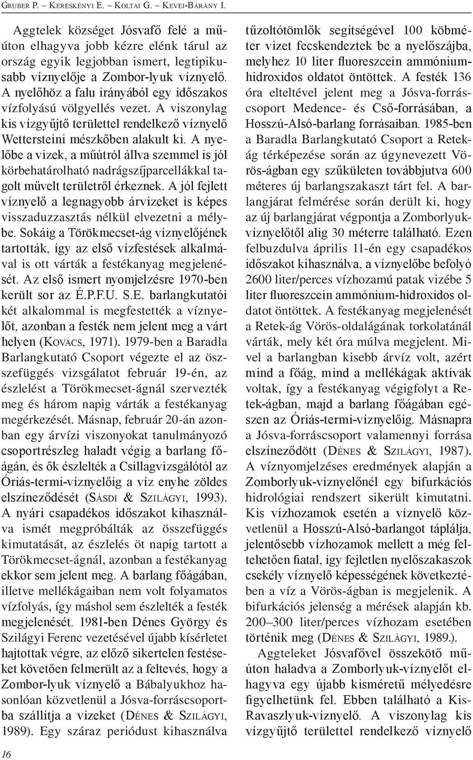 A nyelőhöz a falu irányából egy időszakos vízfolyású völgyellés vezet. A viszonylag kis vízgyűjtő területtel rendelkező víznyelő Wettersteini mészkőben alakult ki.