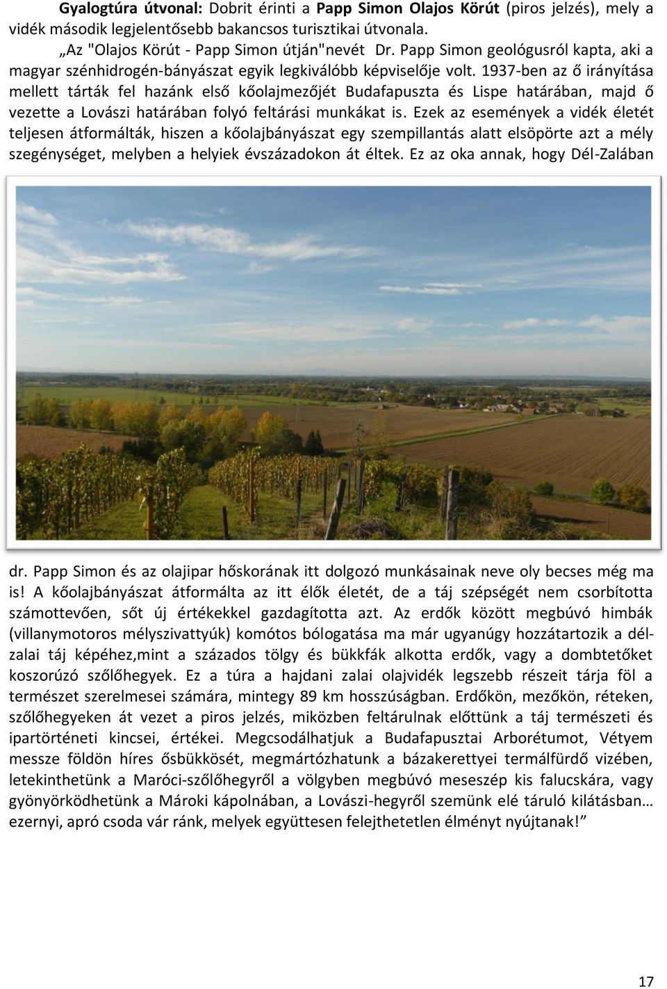 1937-ben az ő irányítása mellett tárták fel hazánk első kőolajmezőjét Budafapuszta és Lispe határában, majd ő vezette a Lovászi határában folyó feltárási munkákat is.