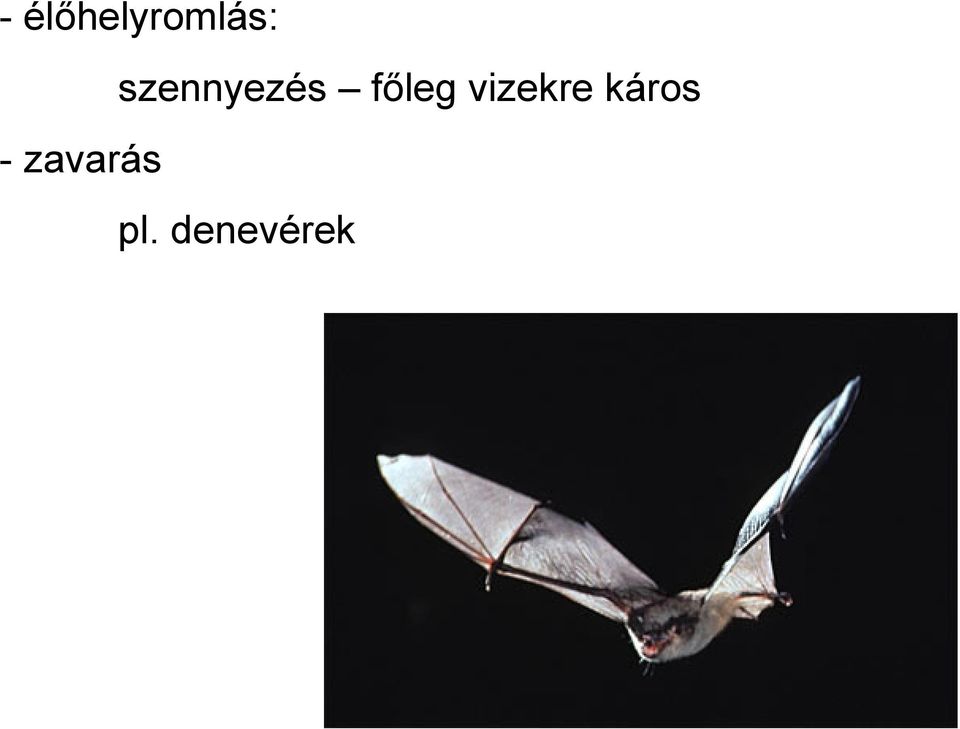 vizekre káros -