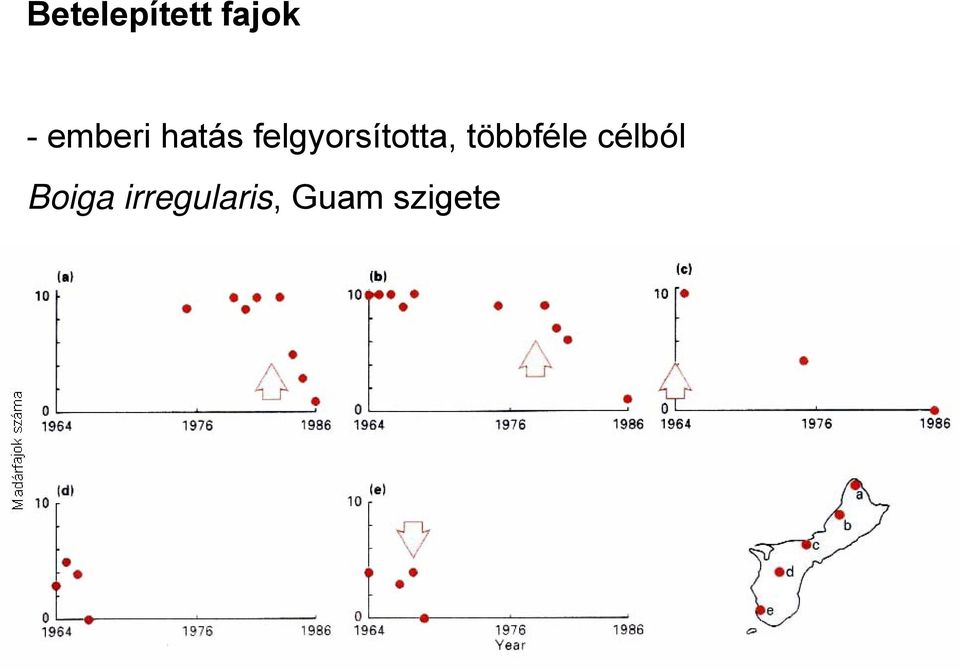 felgyorsította, többféle