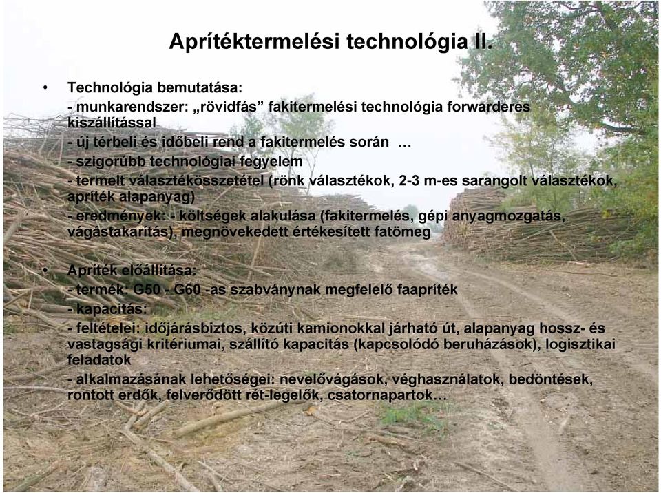 választékösszetétel (rönk választékok, 2-3 m-es sarangolt választékok, apríték alapanyag) - eredmények: - költségek alakulása (fakitermelés, gépi anyagmozgatás, vágástakarítás), megnövekedett