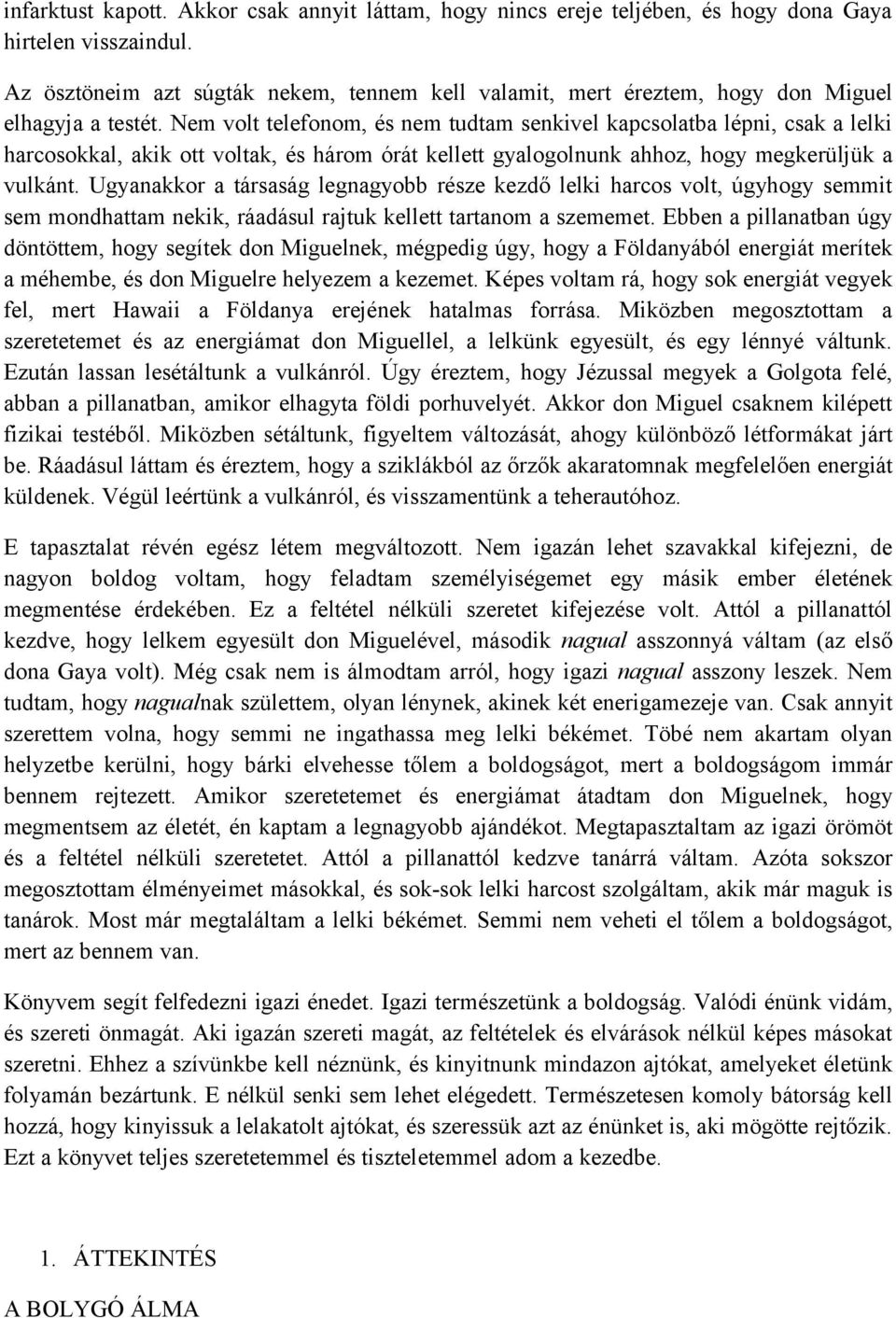 Nem volt telefonom, és nem tudtam senkivel kapcsolatba lépni, csak a lelki harcosokkal, akik ott voltak, és három órát kellett gyalogolnunk ahhoz, hogy megkerüljük a vulkánt.