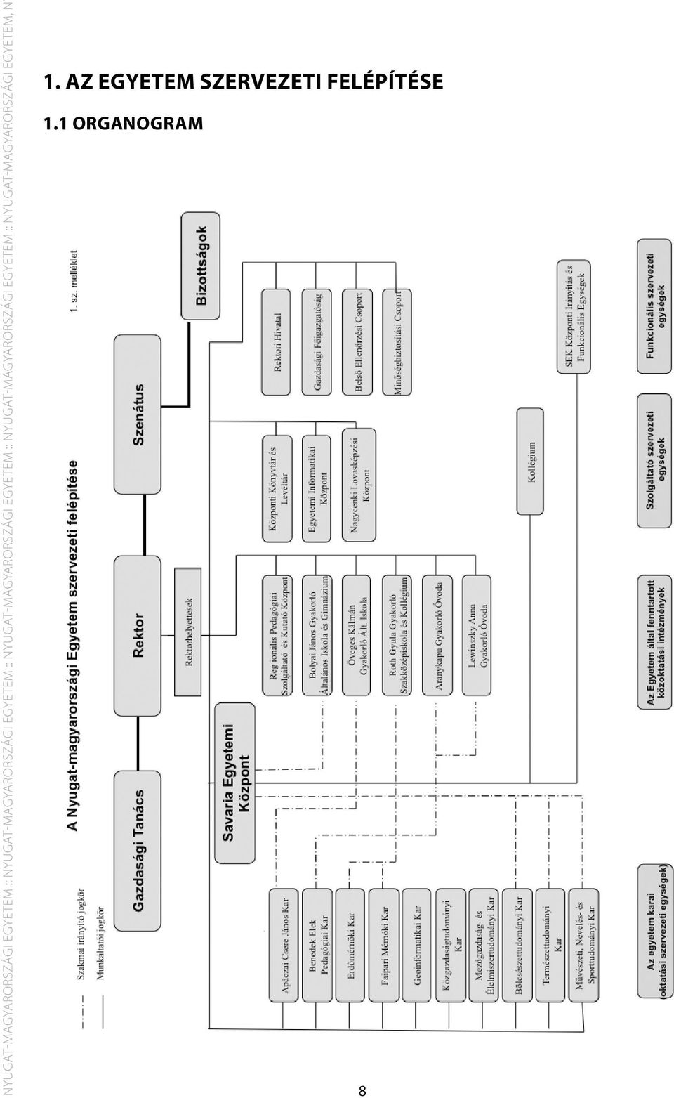 Ny 1. Az egyetem szervezeti felépítése 1.
