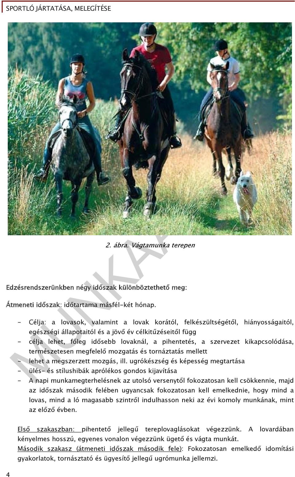 szervezet kikapcsolódása, természetesen megfelelő mozgatás és tornáztatás mellett - lehet a megszerzett mozgás, ill.