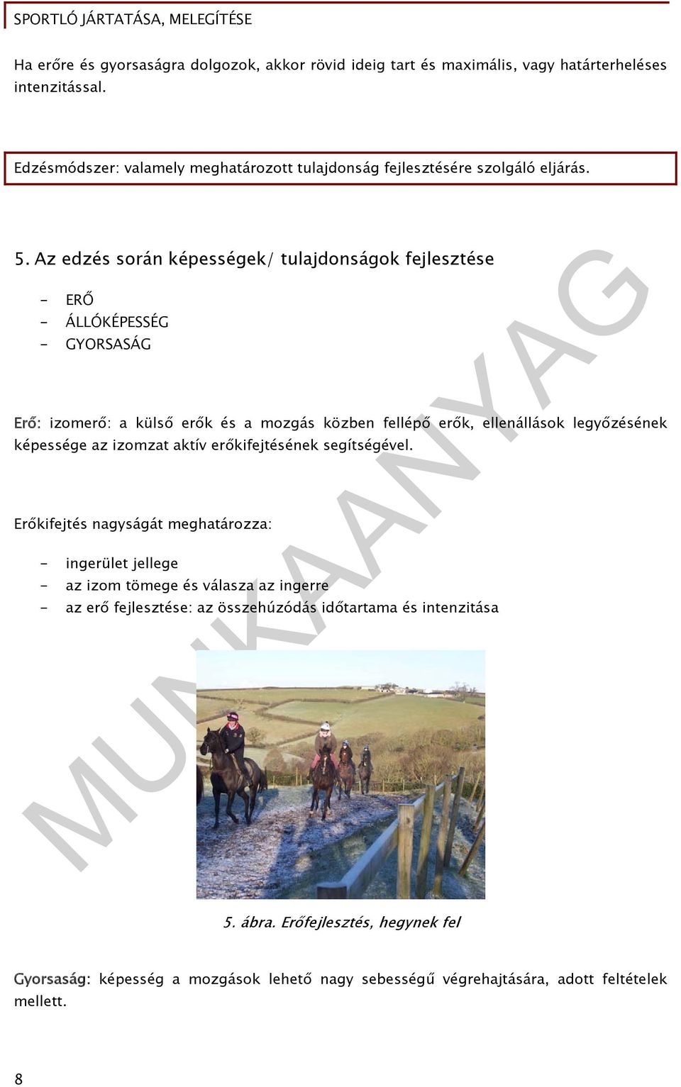 Az edzés során képességek/ tulajdonságok fejlesztése - ERŐ - ÁLLÓKÉPESSÉG - GYORSASÁG Erő: izomerő: a külső erők és a mozgás közben fellépő erők, ellenállások legyőzésének