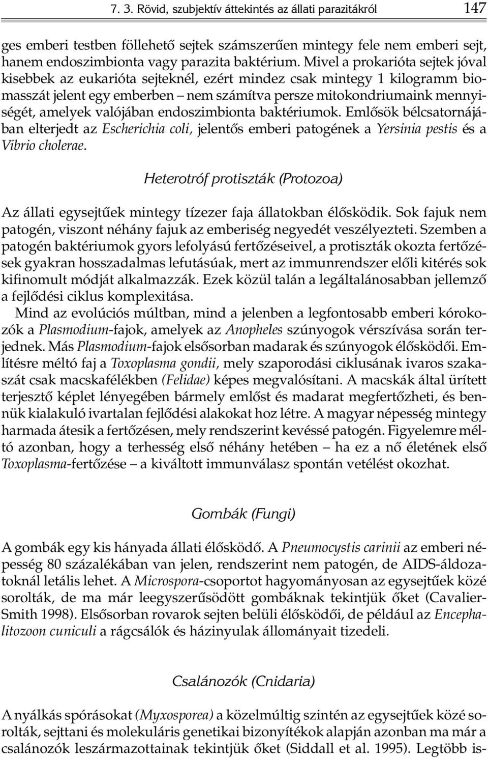 valójában endoszimbionta baktériumok. Emlõsök bélcsatornájában elterjedt az Escherichia coli, jelentõs emberi patogének a Yersinia pestis és a Vibrio cholerae.