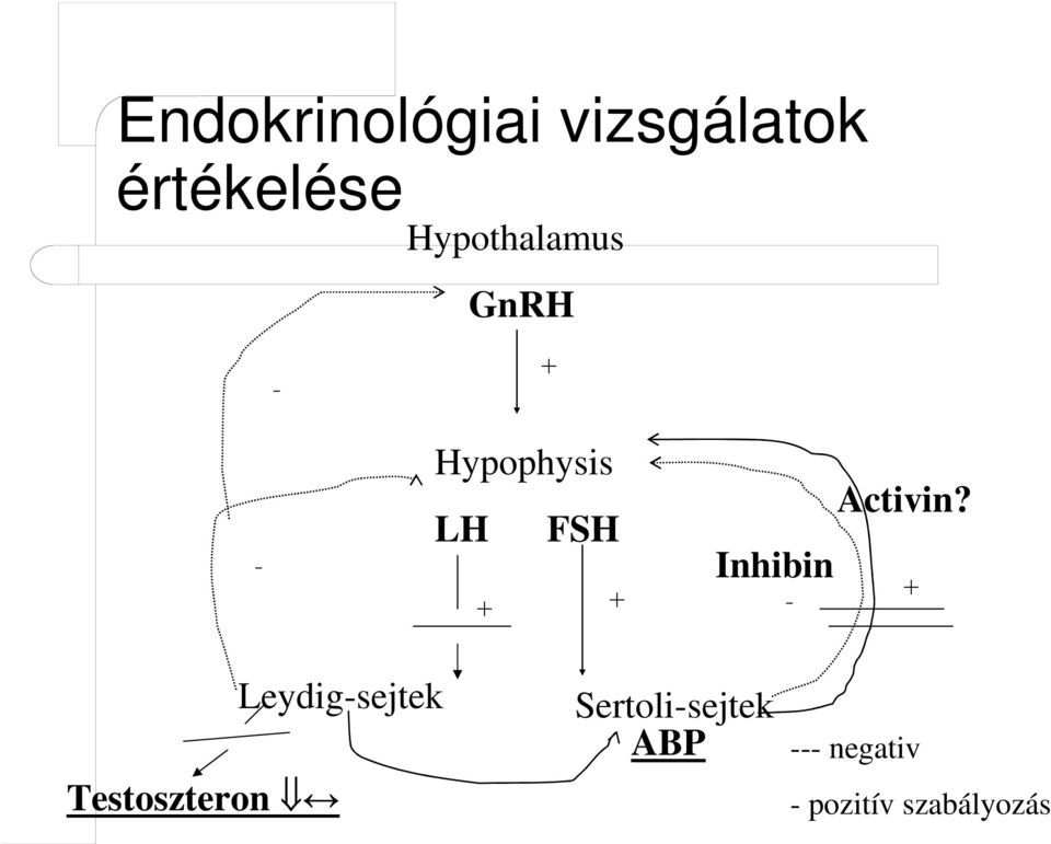 Inhibin - Activin?