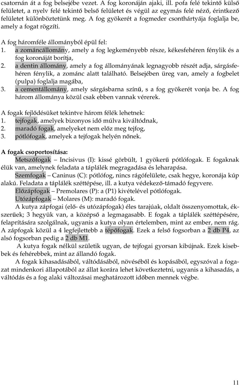 A fog gyökerét a fogmeder csonthártyája foglalja be, amely a fogat rögzíti. A fog háromféle állományból épül fel: 1.