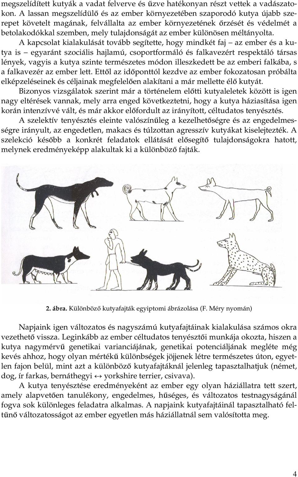 ember különösen méltányolta.