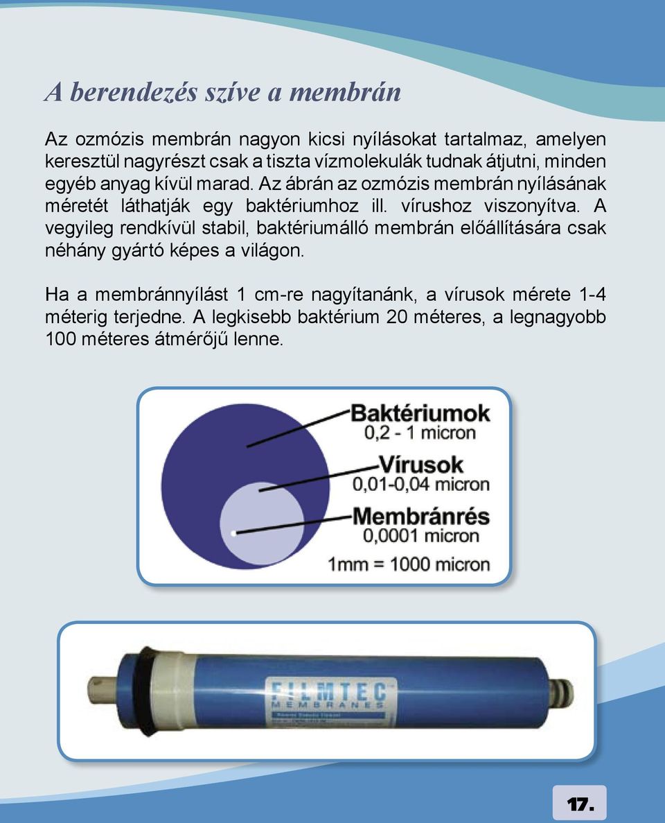 Az ábrán az ozmózis membrán nyílásának méretét láthatják egy baktériumhoz ill. vírushoz viszonyítva.