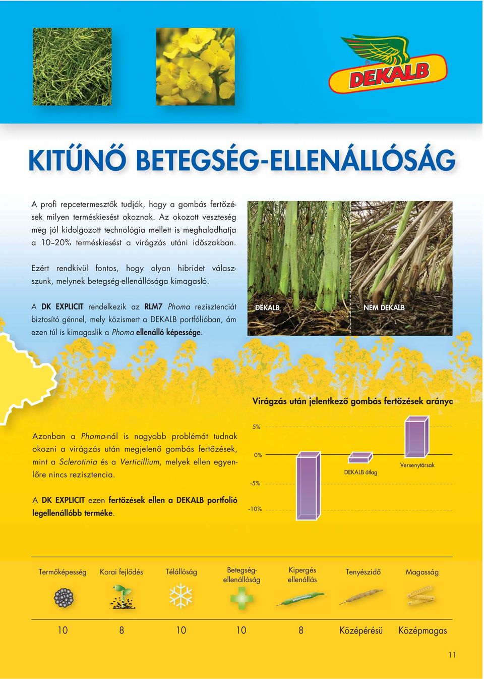 Ezért rendkívül fontos, hogy olyan hibridet válaszszunk, melynek betegség-ellenállósága kimagasló.