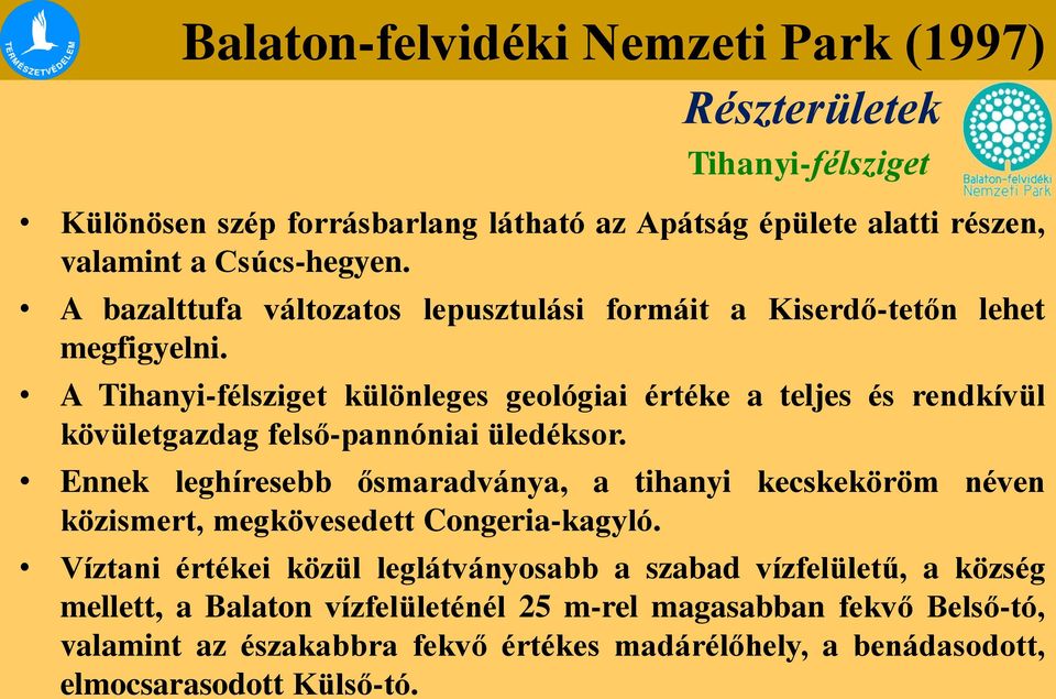 A Tihanyi-félsziget különleges geológiai értéke a teljes és rendkívül kövületgazdag felső-pannóniai üledéksor.