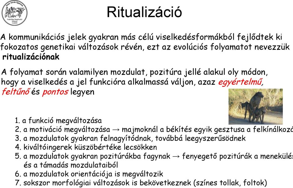 a motiváció megváltozása majmoknál a békítés egyik gesztusa a felkínálkozá 3. a mozdulatok gyakran felnagyítódnak, továbbá leegyszerűsödnek 4. kiváltóingerek küszöbértéke lecsökken 5.