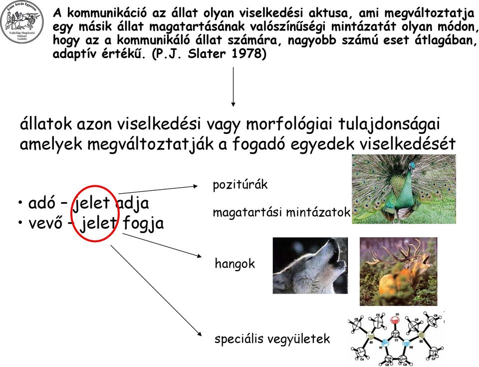 adaptív értékű. (P.J.