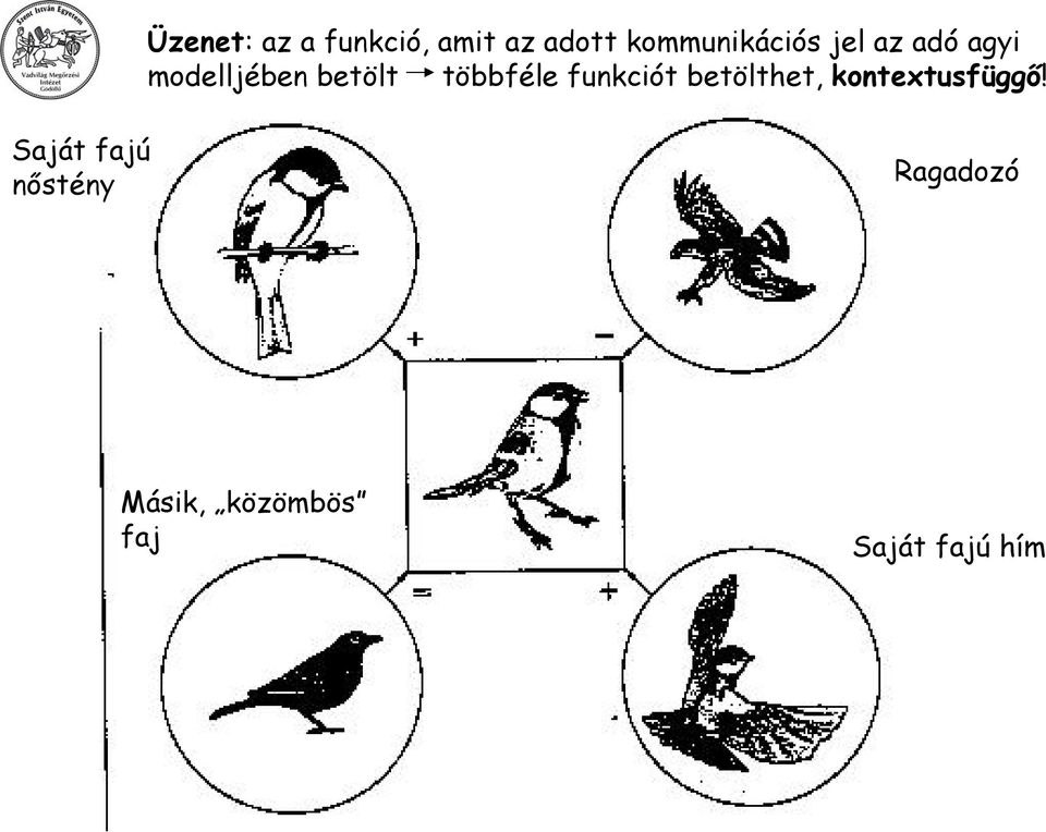 betölt többféle funkciót betölthet,