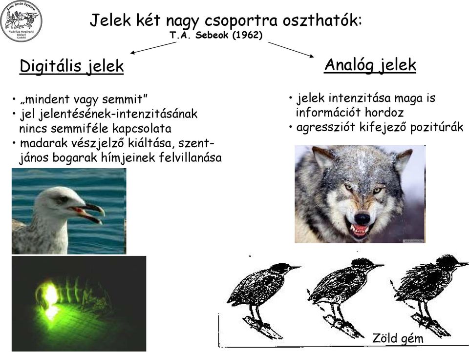 jelentésének-intenzitásának nincs semmiféle kapcsolata madarak vészjelző