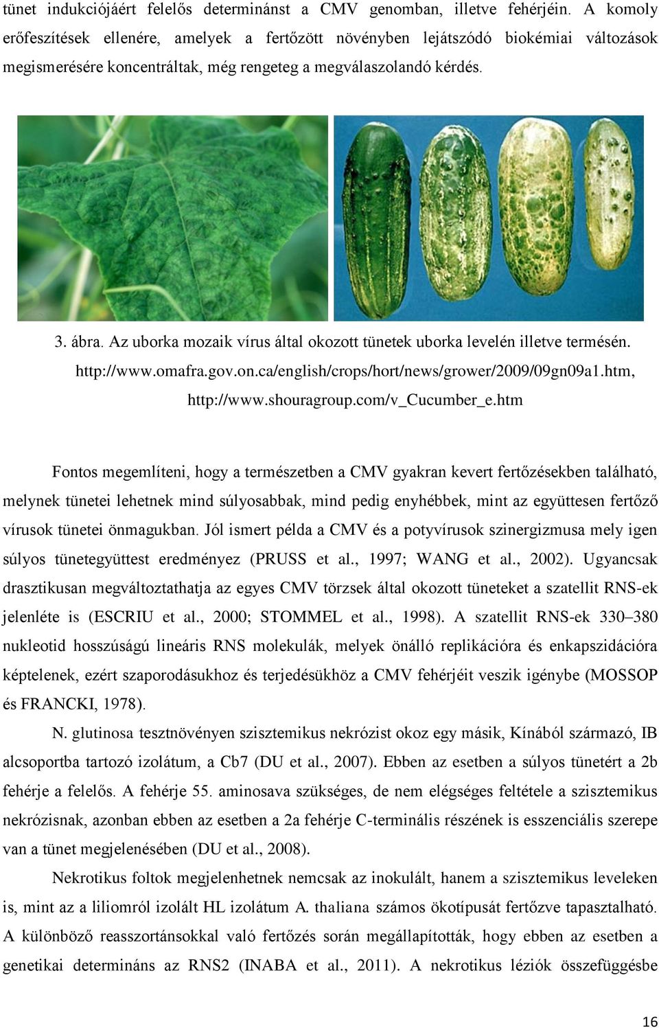 Az uborka mozaik vírus által okozott tünetek uborka levelén illetve termésén. http://www.omafra.gov.on.ca/english/crops/hort/news/grower/2009/09gn09a1.htm, http://www.shouragroup.com/v_cucumber_e.