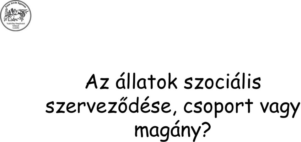 szerveződése,