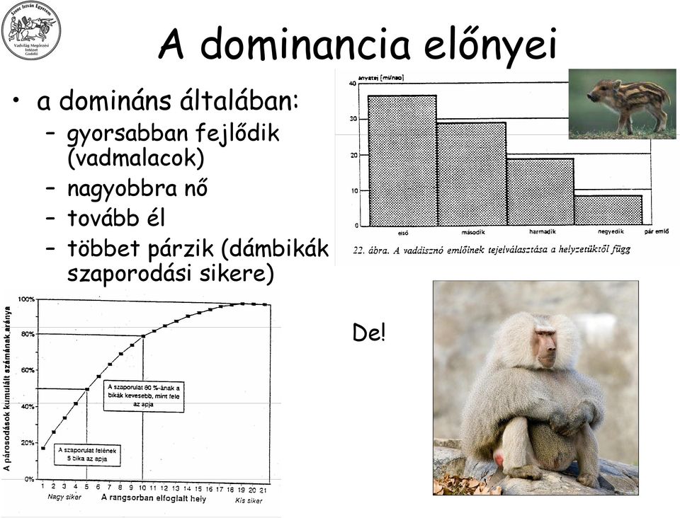 (vadmalacok) nagyobbra nő tovább él