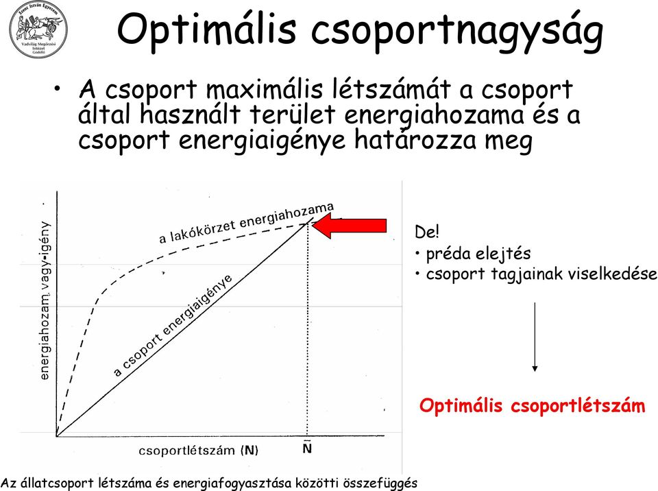 használt terület energiahozama és a csoport energiaigénye határozza