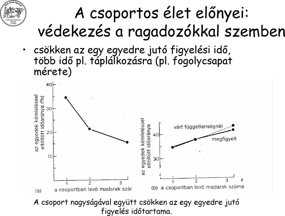 idő pl. táplálkozásra (pl.