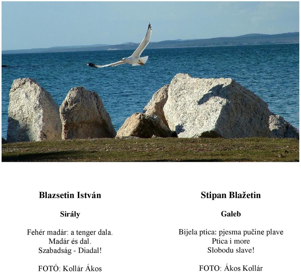 FOTÓ: Kollár Ákos Stipan Blažetin Galeb Bijela