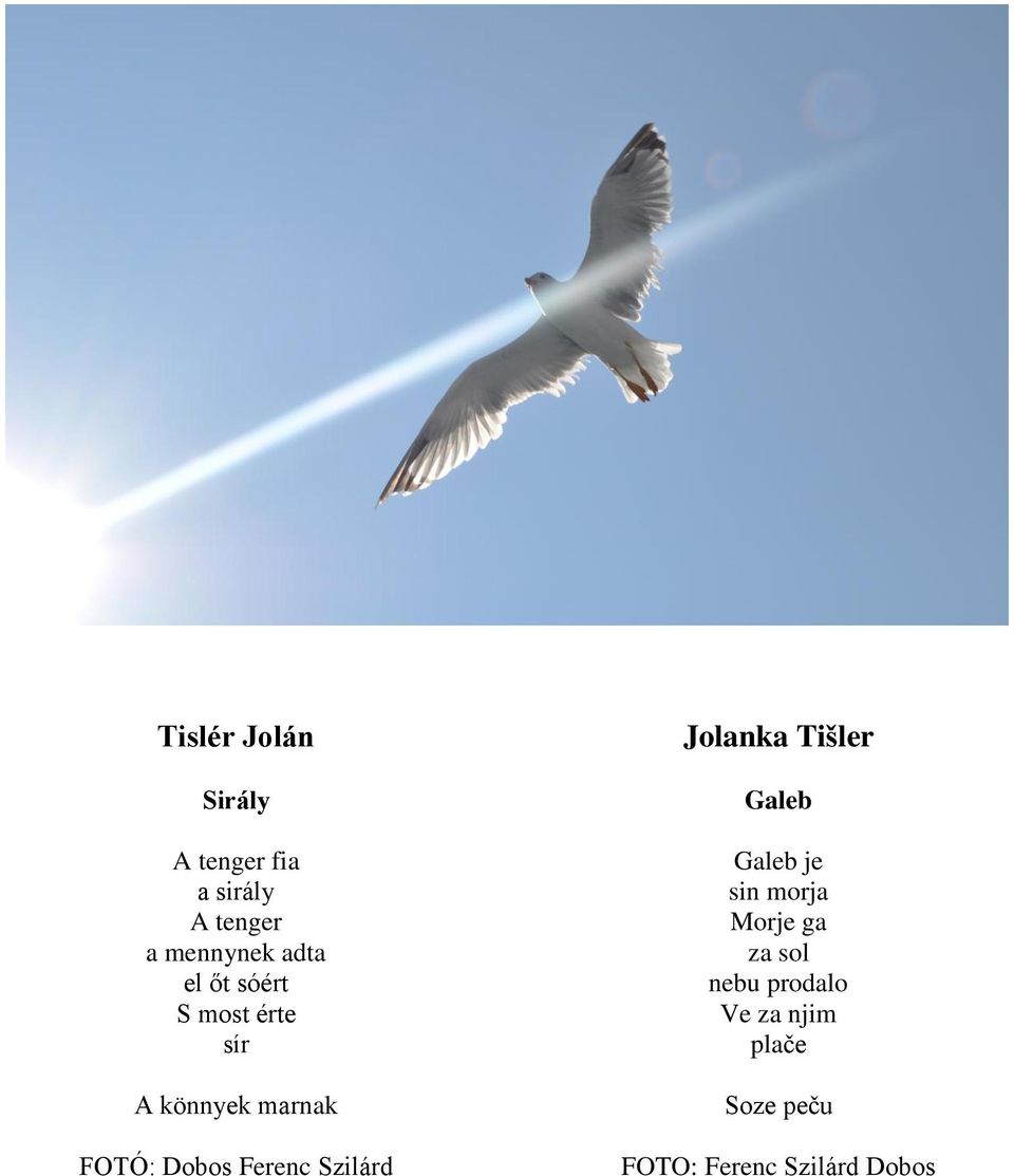 Ferenc Szilárd Jolanka Tišler Galeb Galeb je sin morja Morje ga