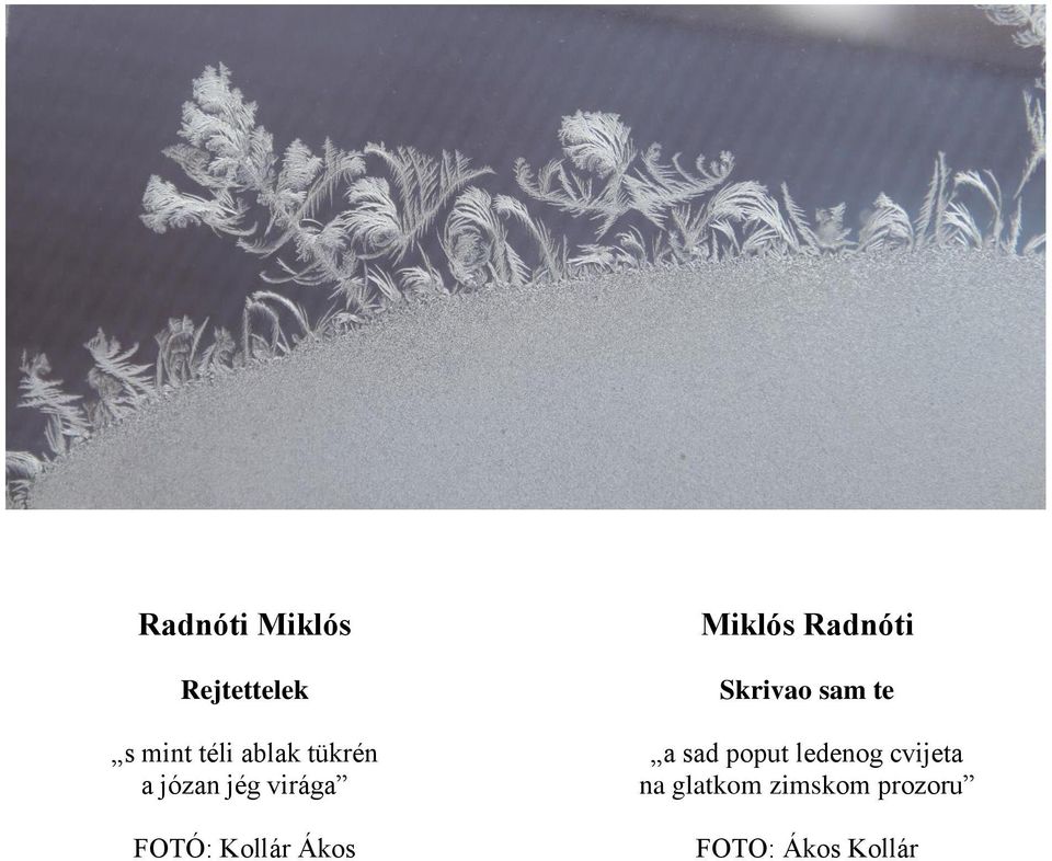 Miklós Radnóti Skrivao sam te a sad poput