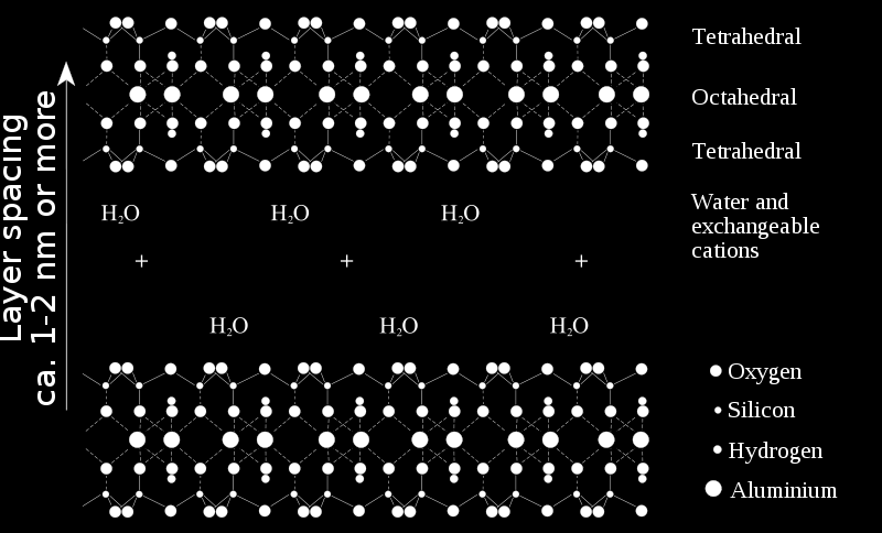 Izomorf helyettesítés Montmorillonite [(Mg 0.33Al 1.67)Si 4O10(OH)2]Na0.33 Montmorillonite is an aluminium hydrosilicate Smectic 2:1 structures 3 P. W.