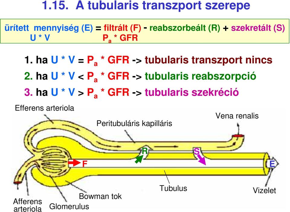 ha U * V < P a * GFR -> tubularis reabszorpció 3.