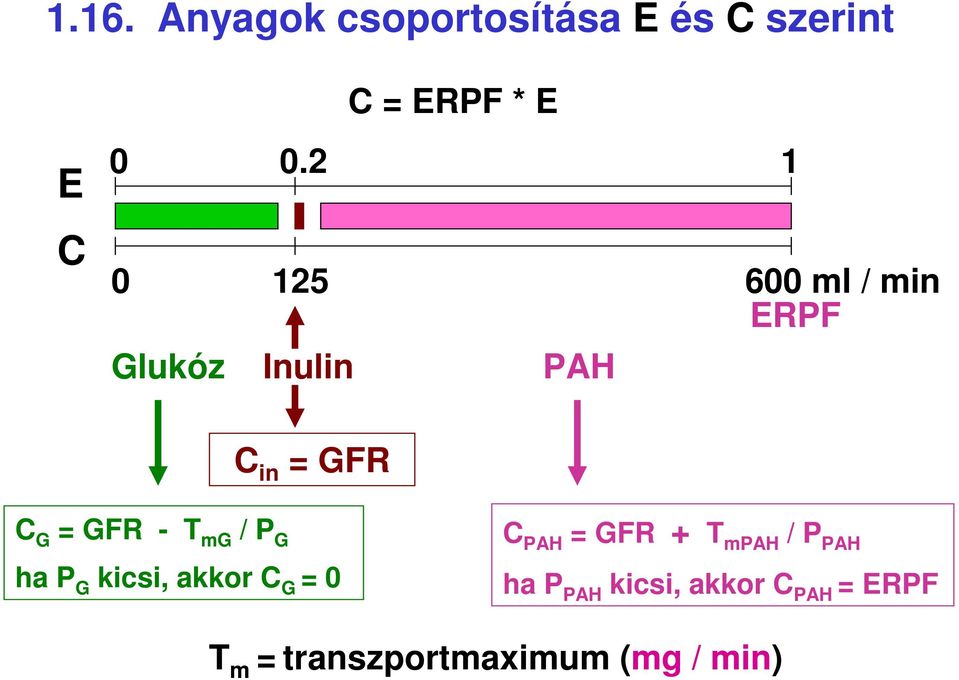 - T mg / P G ha P G kicsi, akkor C G = 0 C PAH = GFR + T mpah / P