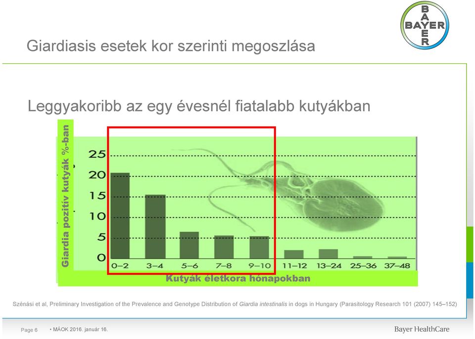 Preliminary Investigation of the Prevalence and Genotype Distribution of Giardia