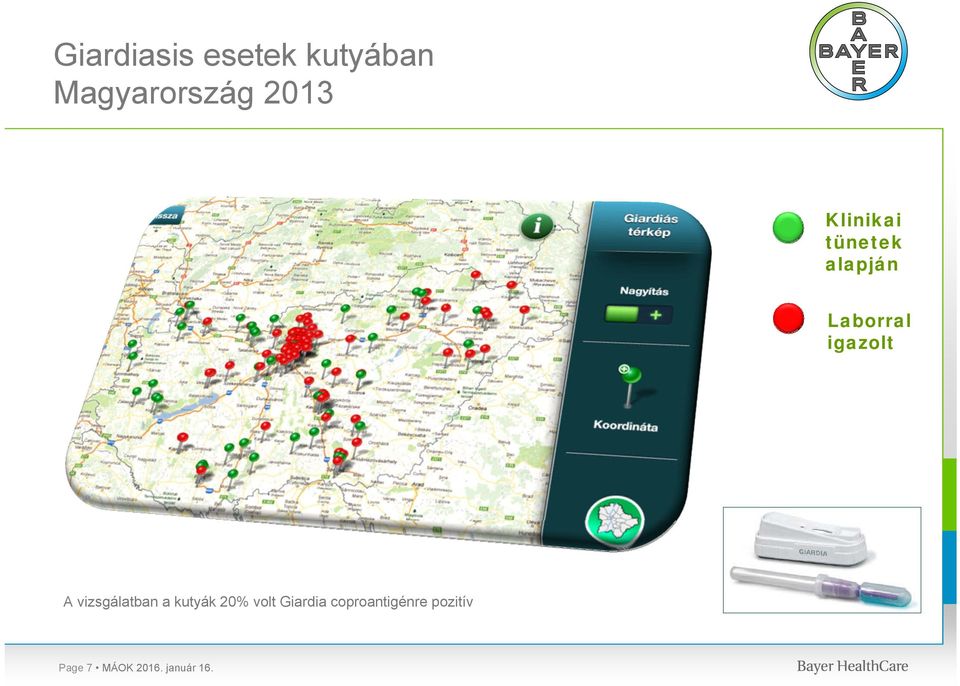 vizsgálatban a kutyák 20% volt Giardia