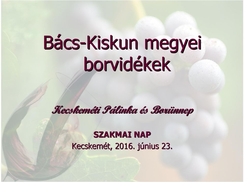 Pálinka P és s Borünnep
