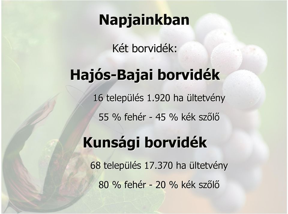 920 ha ültetvény 55 % fehér - 45 % kék k k szőlő