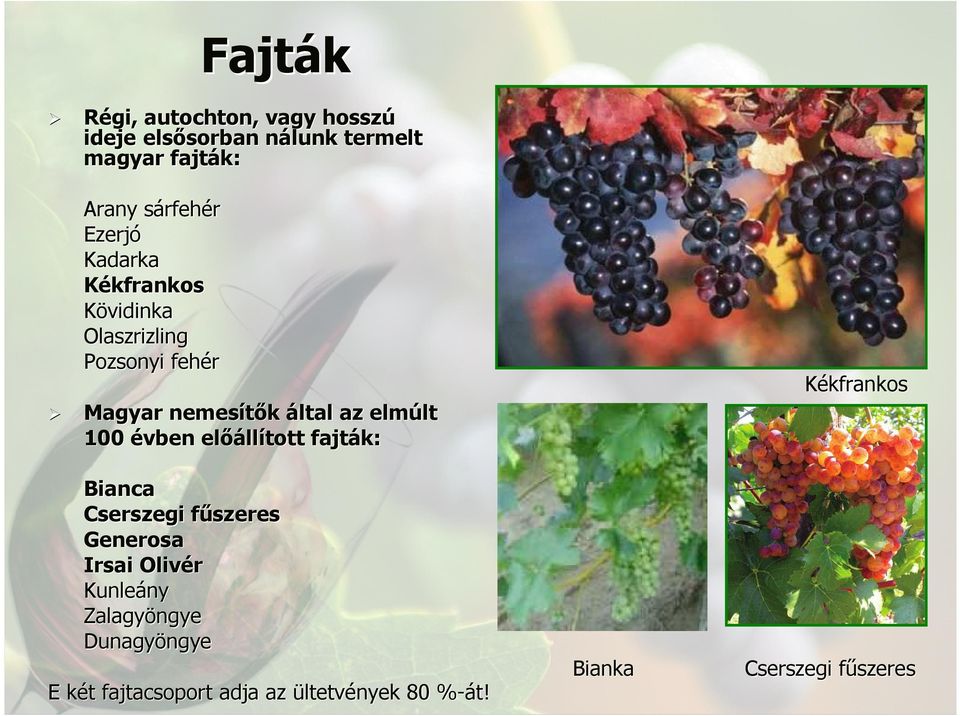 100 évben előáll llított fajták: Bianca Cserszegi fűszeresf Generosa Irsai Olivér Kunleány ny Zalagyöngye