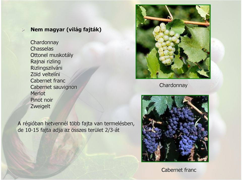 Merlot Pinot noir Zweigelt Chardonnay A régióban hetvennél l több t fajta
