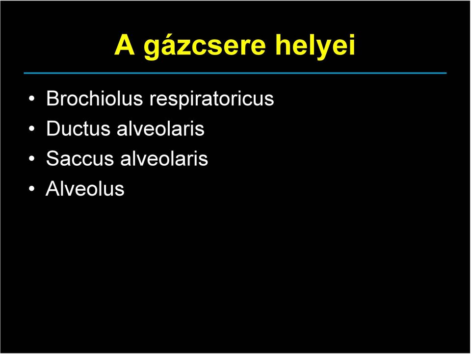 respiratoricus Ductus