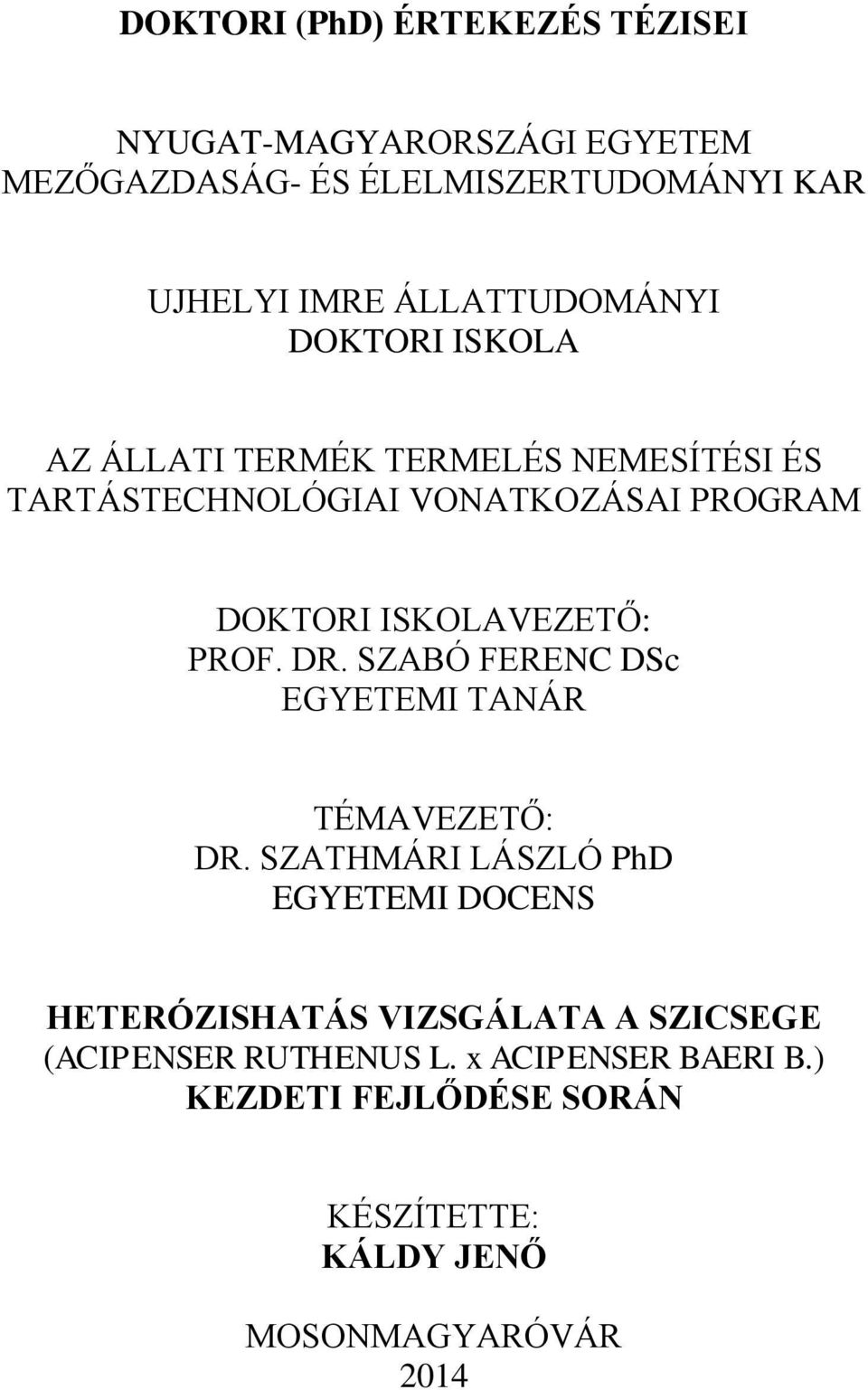 ISKOLAVEZETŐ: PROF. DR. SZABÓ FERENC DSc EGYETEMI TANÁR TÉMAVEZETŐ: DR.