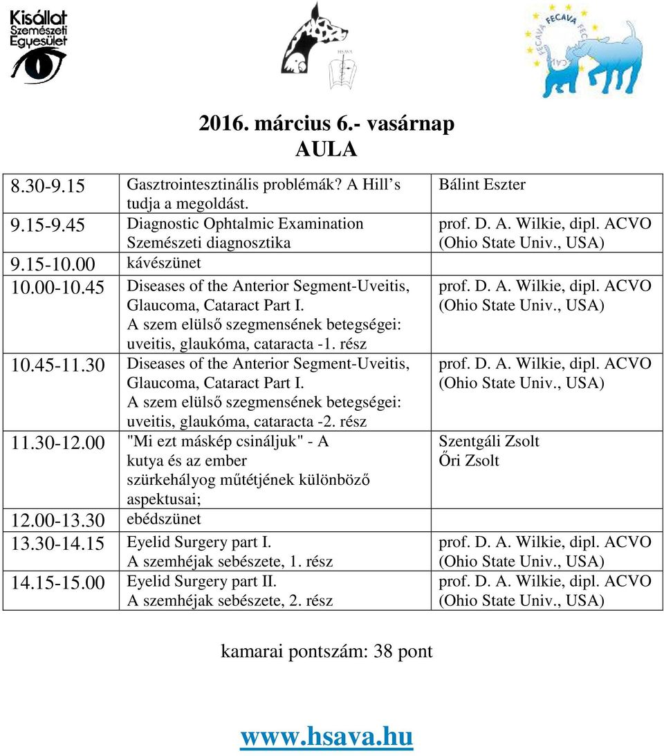 30 Diseases of the Anterior Segment-Uveitis, Glaucoma, Cataract Part I. A szem elülső szegmensének betegségei: uveitis, glaukóma, cataracta -2. rész 11.30-12.
