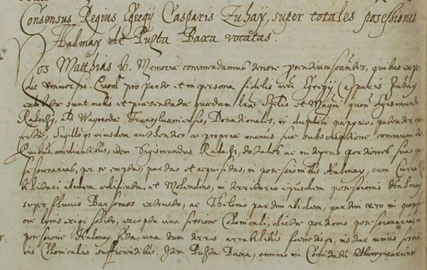 1610. King Mattias II donated Kinis estate to Caspar and Martin Zuhay in Novoabov County (Nagy Iván: Magyarország családai czimerekkel és nemzékrendi táblákkal. Pest, 1863). 1638.