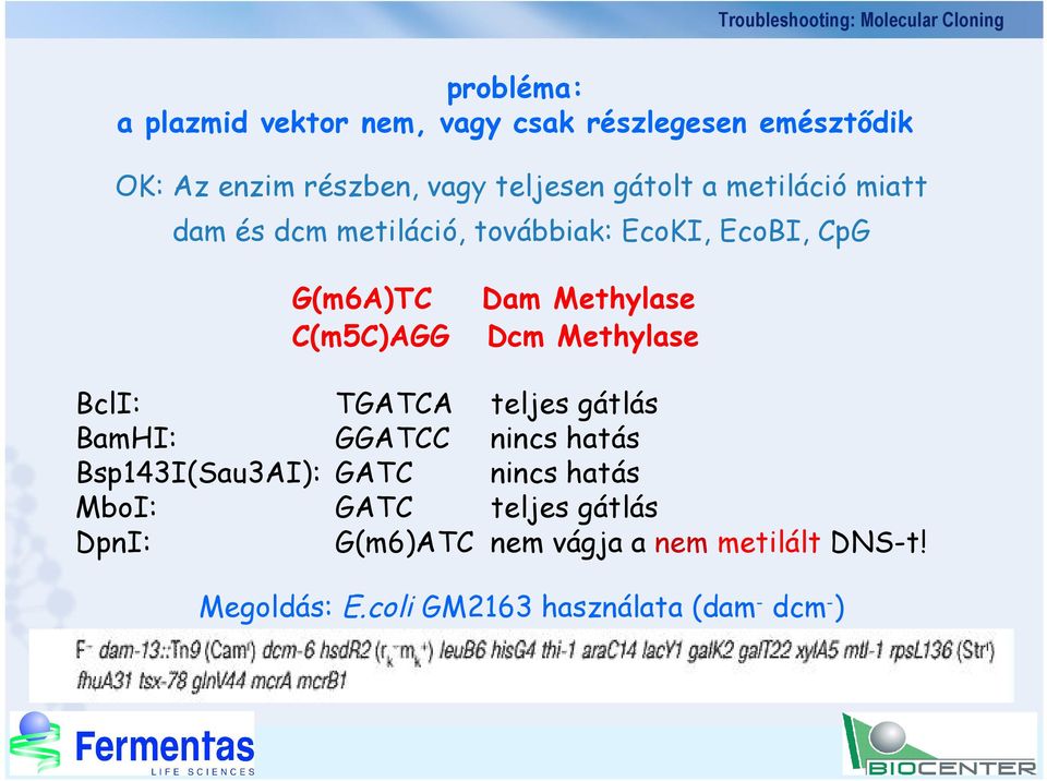 Methylase BclI: TGATCA teljes gátlás BamHI: GGATCC nincs hatás Bsp143I(Sau3AI): GATC nincs hatás MboI: GATC