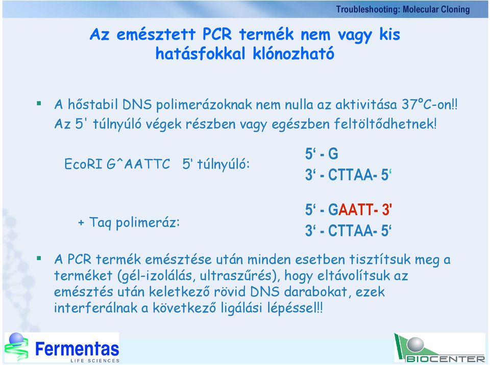 EcoRI G^AATTC 5 túlnyúló: + Taq polimeráz: 5 - G 3 - CTTAA- 5 5 - GAATT- 3' 3 - CTTAA- 5 A PCR termék emésztése után minden