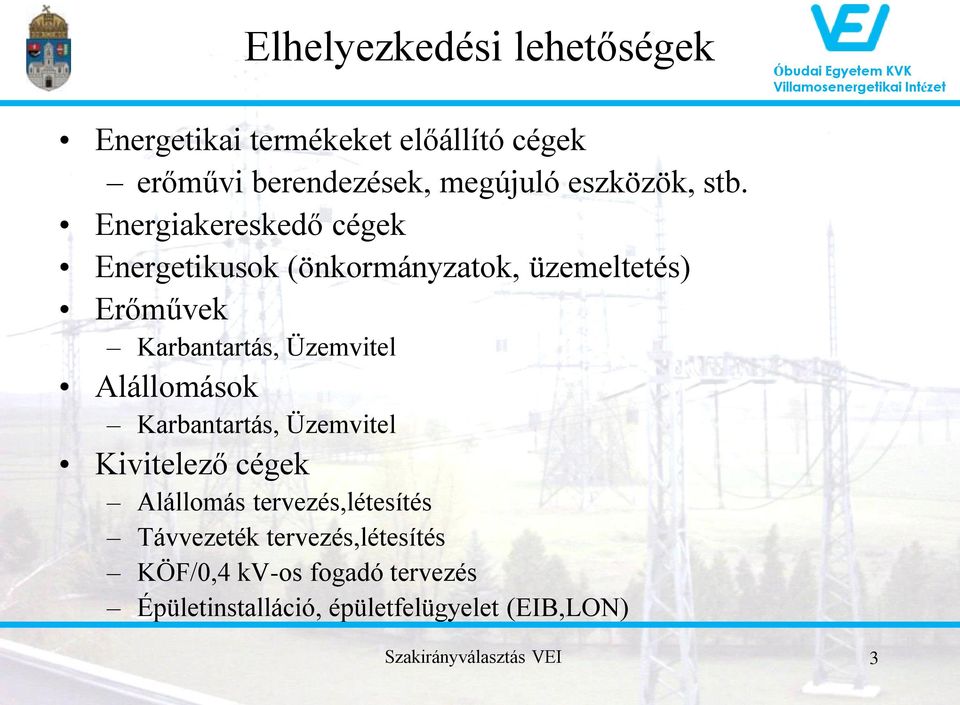 Energiakereskedő cégek Energetikusok (önkormányzatok, üzemeltetés) Erőművek Karbantartás, Üzemvitel