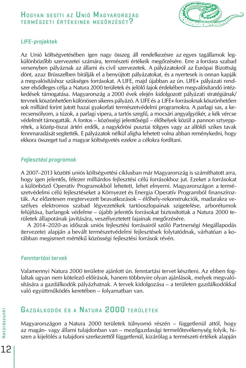Erre a forrásra szabad versenyben pályáznak az állami és civil szervezetek.