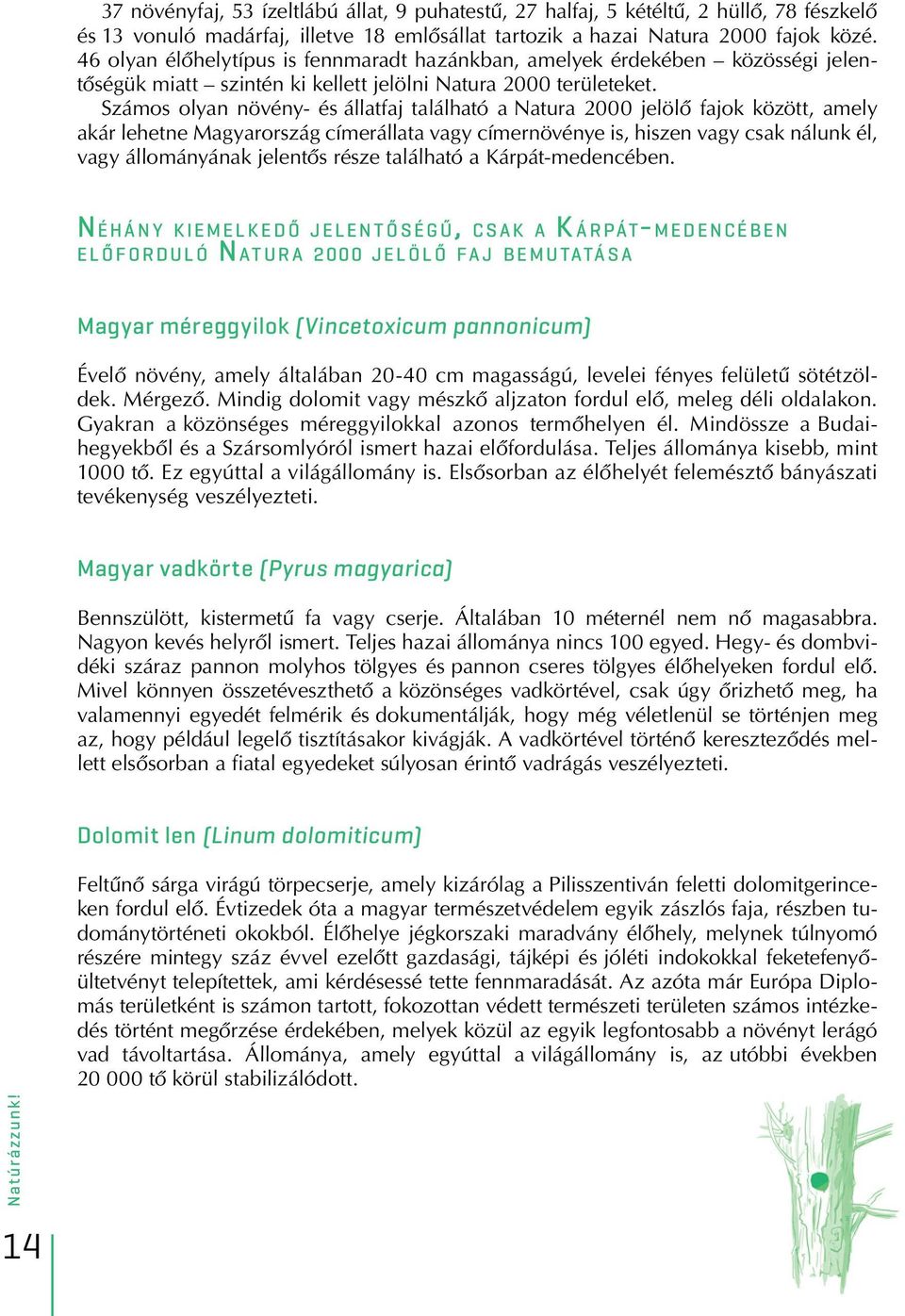 Számos olyan növény- és állatfaj található a Natura 2000 jelölô fajok között, amely akár lehetne Magyarország címerállata vagy címernövénye is, hiszen vagy csak nálunk él, vagy állományának jelentôs