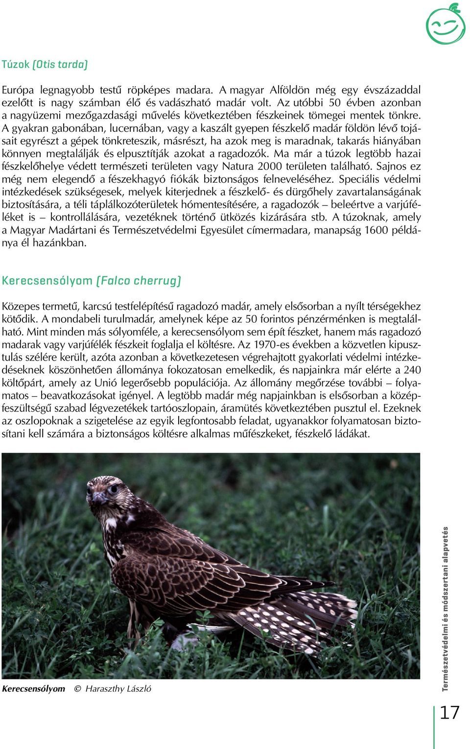 A gyakran gabonában, lucernában, vagy a kaszált gyepen fészkelô madár földön lévô tojásait egyrészt a gépek tönkreteszik, másrészt, ha azok meg is maradnak, takarás hiányában könnyen megtalálják és