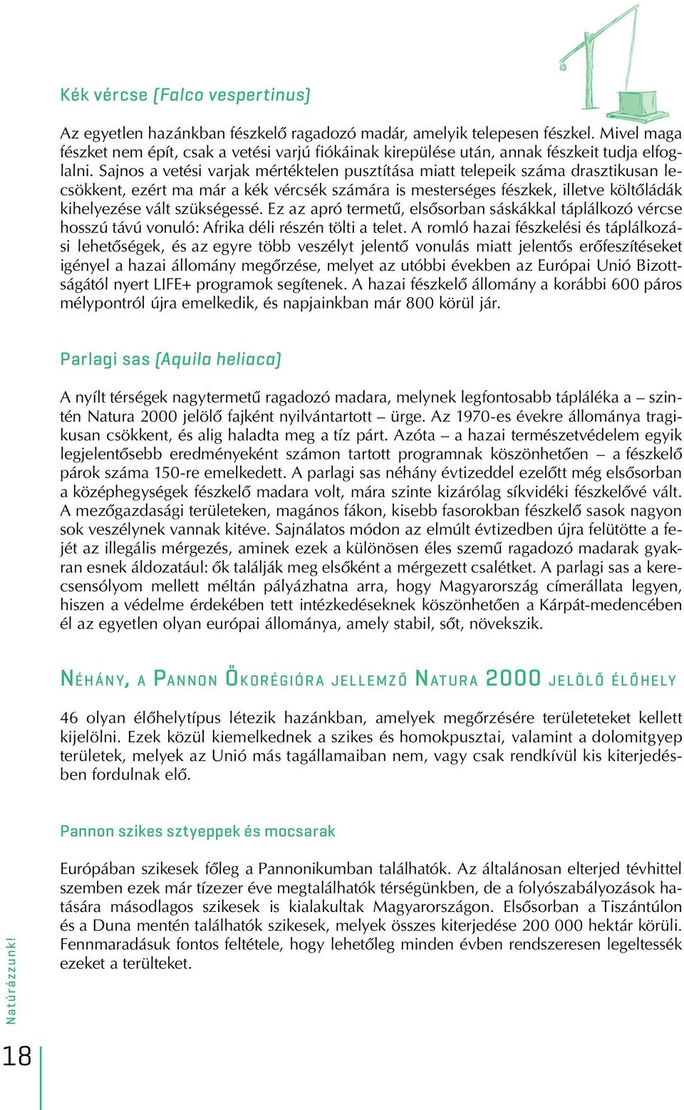 Sajnos a vetési varjak mértéktelen pusztítása miatt telepeik száma drasztikusan lecsökkent, ezért ma már a kék vércsék számára is mesterséges fészkek, illetve költôládák kihelyezése vált szükségessé.