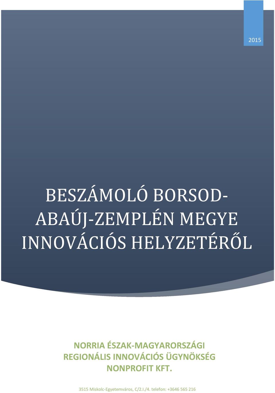 REGIONÁLIS INNOVÁCIÓS ÜGYNÖKSÉG NONPROFIT KFT.