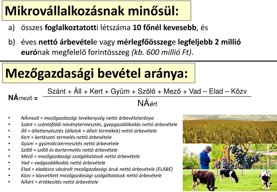 Mezőgazdasági bevétel aránya: NÁmező = Szánt + Áll + Kert + Gyüm + Szőlő + Mező + Vad Elad Közv NÁért NÁmező = mezőgazdasági tevékenység nettó árbevételaránya Szánt = szántóföldi növénytermesztés,